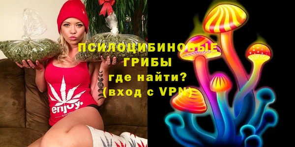 PSILOCYBIN Арсеньев