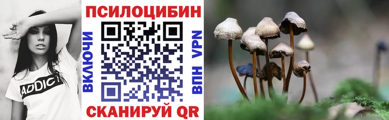 Галлюциногенные грибы Magic Shrooms  Нестеров 